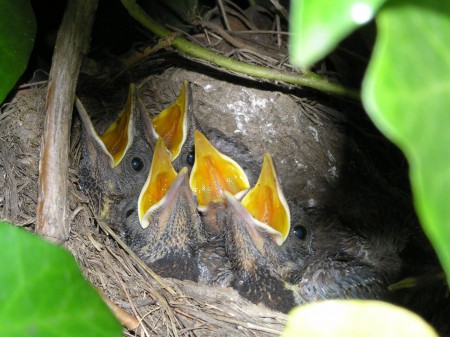 My se snad nedočkáme!!